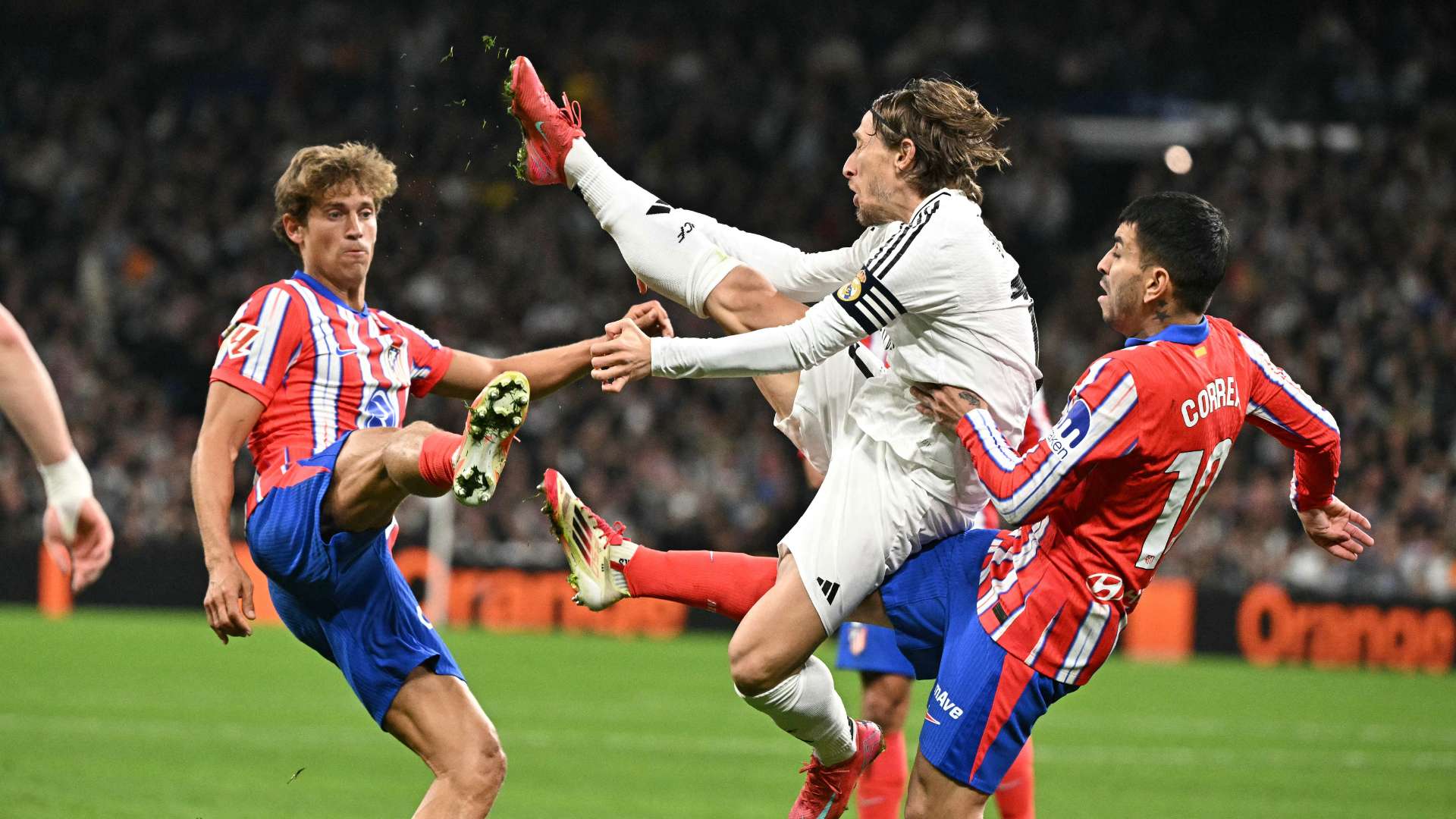 上映便已掀 上映便已掀